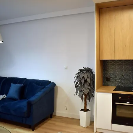Klimatyczny Apartament Z Pieknym Tarasem